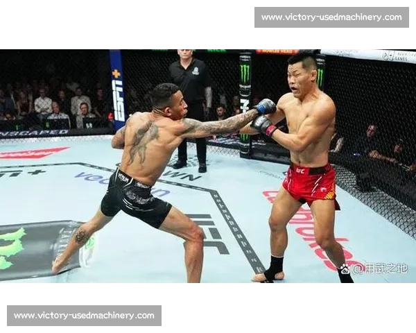 李景亮精彩对决回顾 UFC赛事中中国拳王的震撼表现